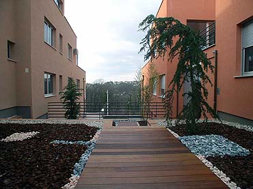 elevated terrace and garden